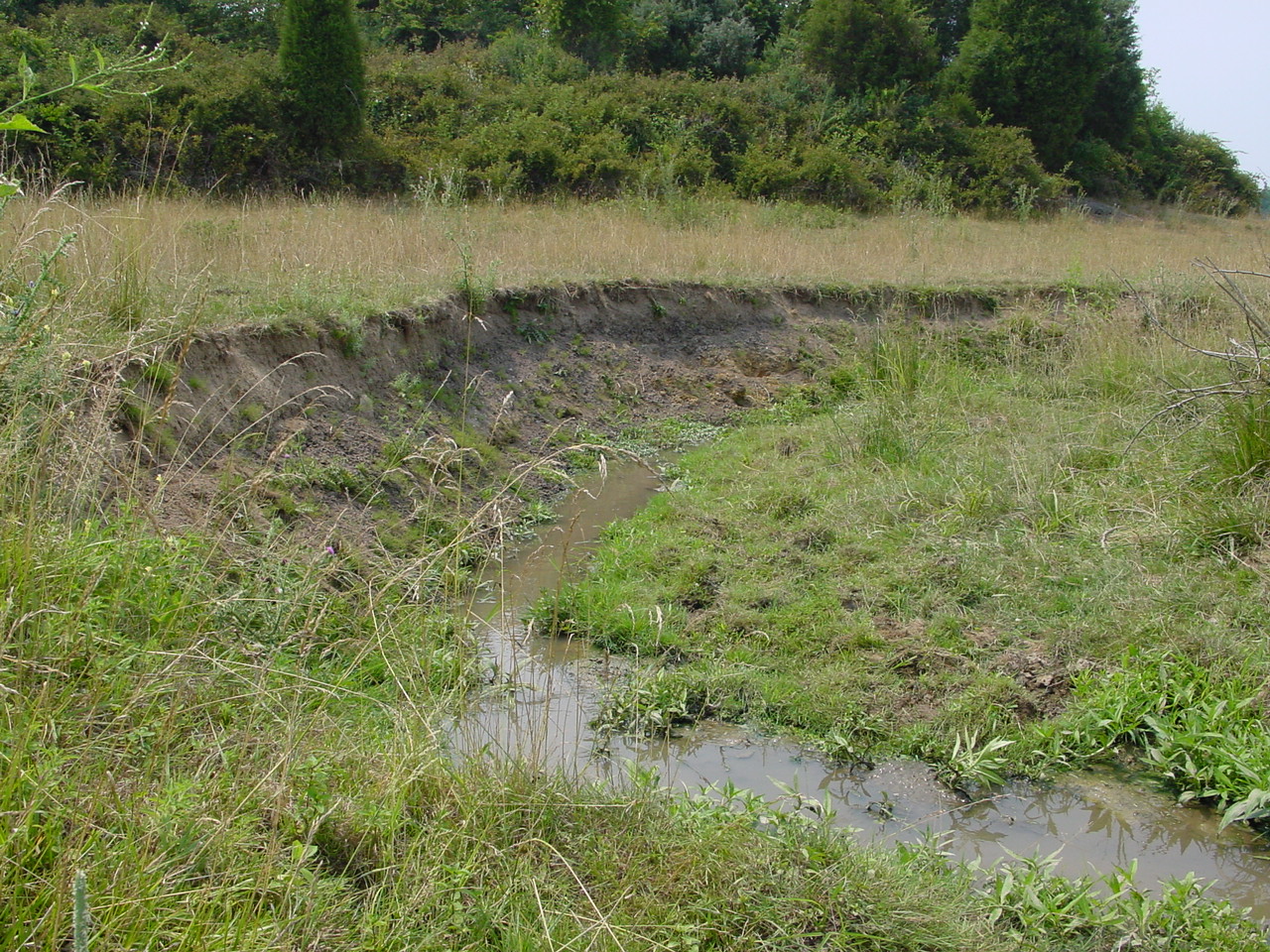 Field photo showing stream conditions at site CONO-218-R-2002-4
