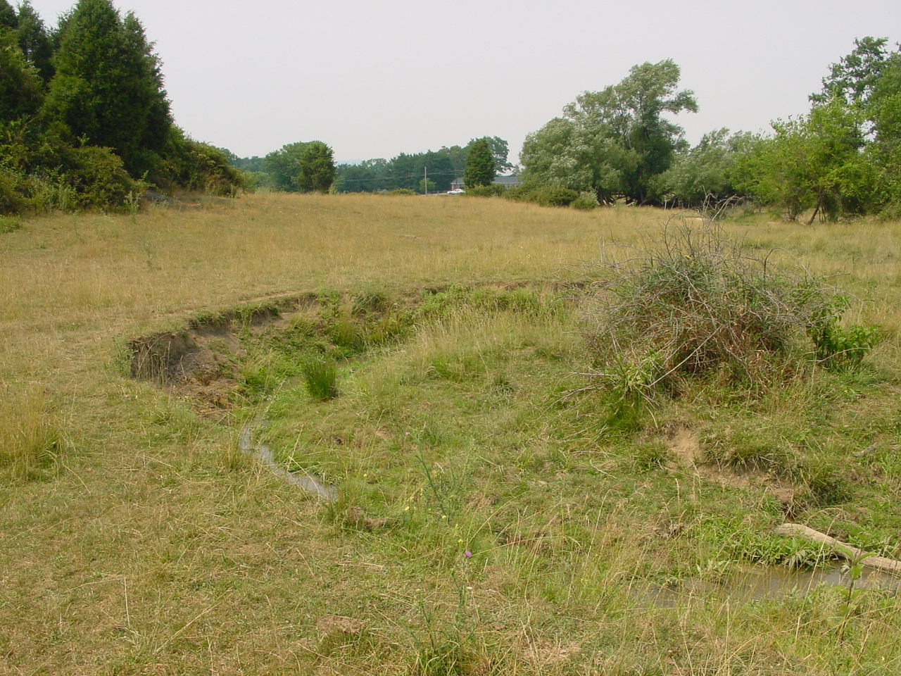 Field photo showing stream conditions at site CONO-218-R-2002-5