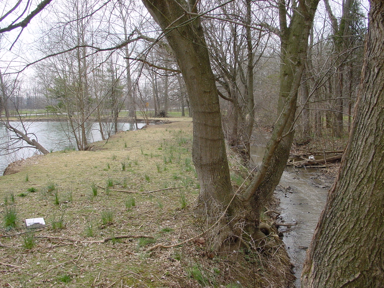 Field photo showing stream conditions at site CONO-222-R-2002-1