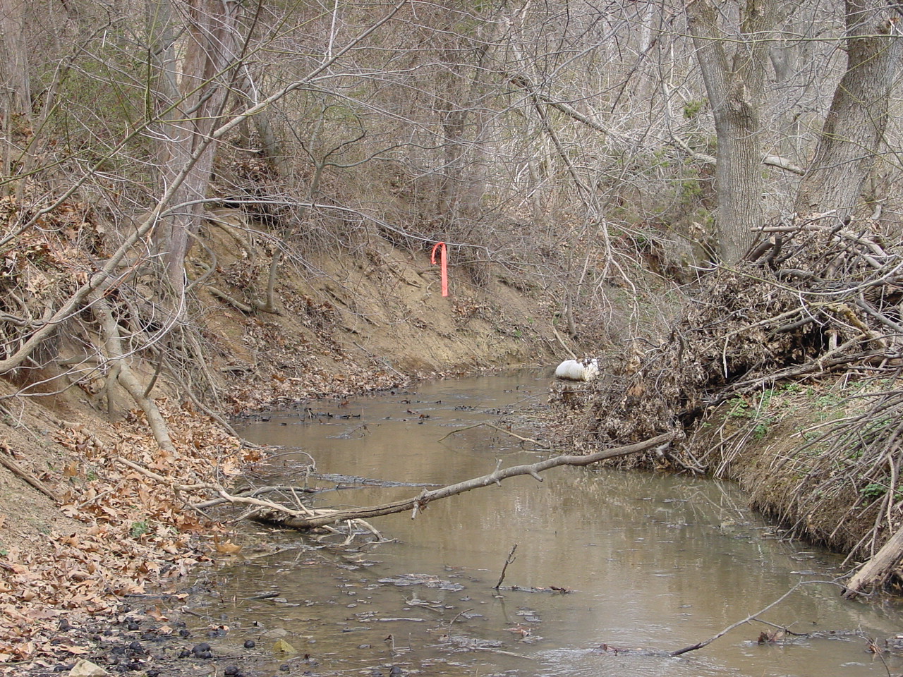 Field photo showing stream conditions at site CONO-222-R-2002-2