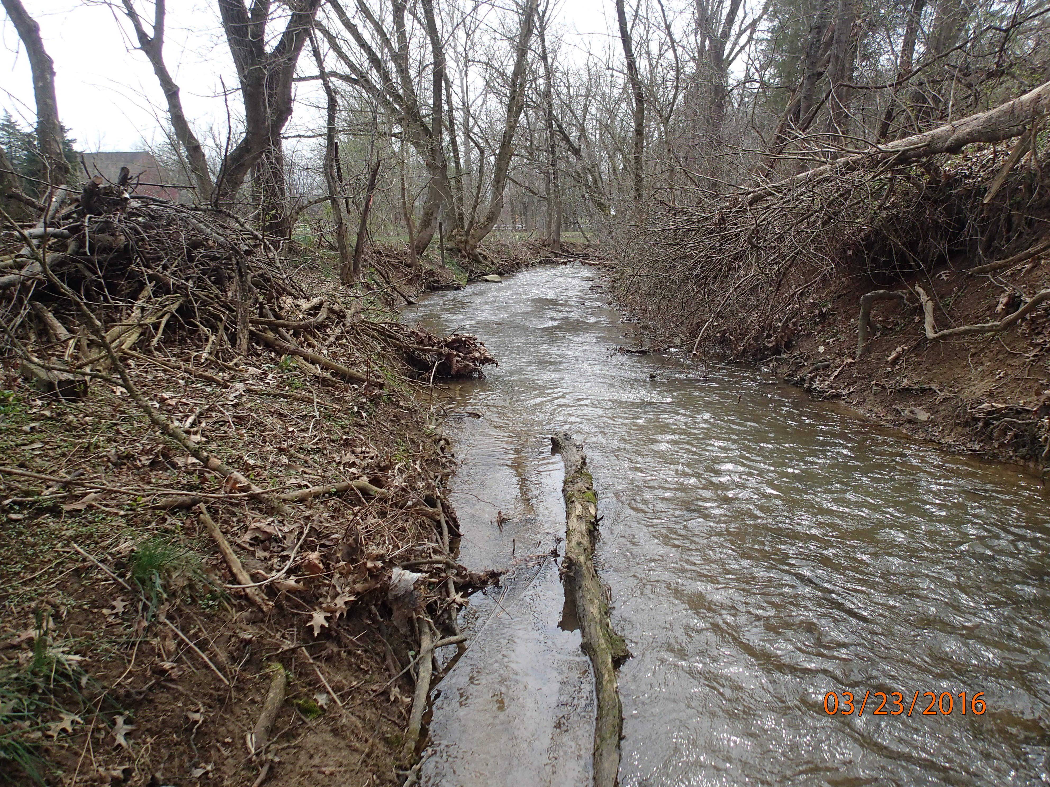 Field photo showing stream conditions at site CONO-222-R-2016-MidpointDownstream