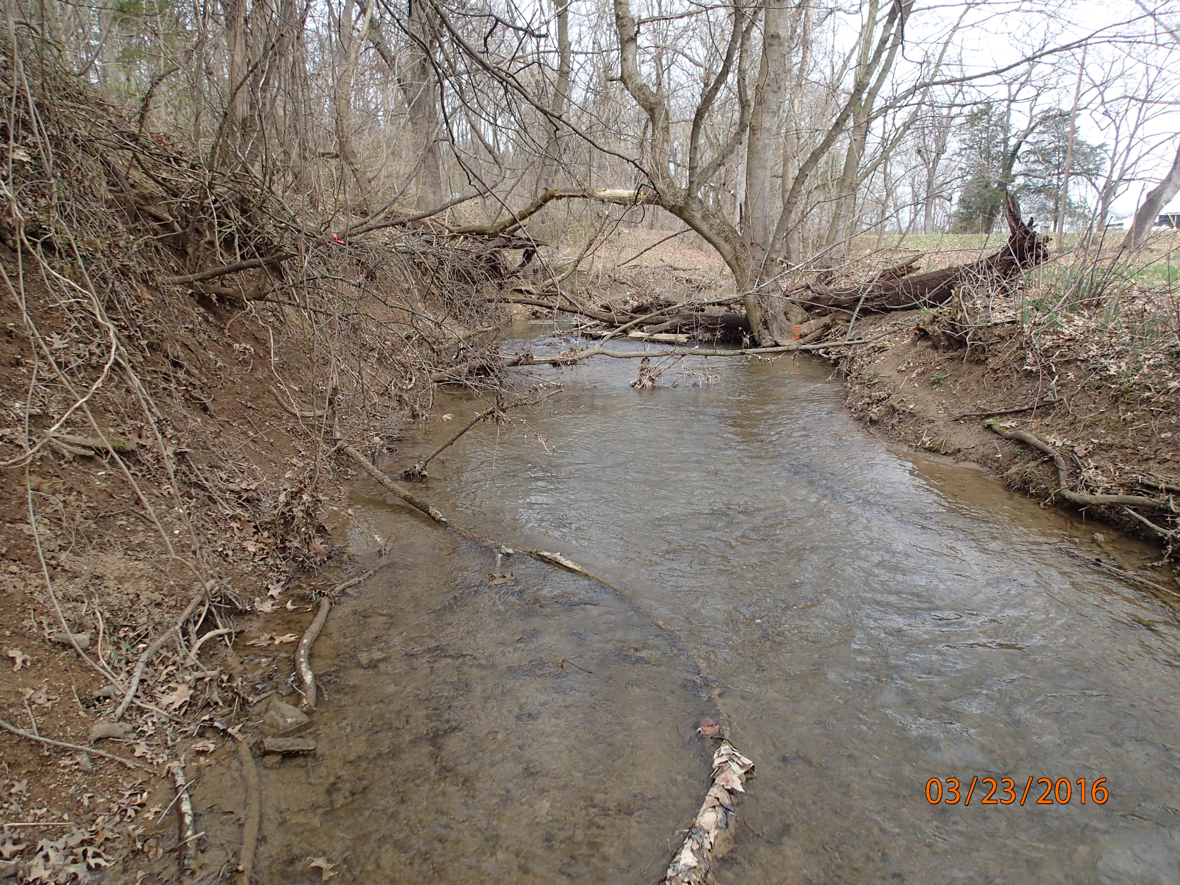 Field photo showing stream conditions at site CONO-222-R-2016-MidpointUpstream