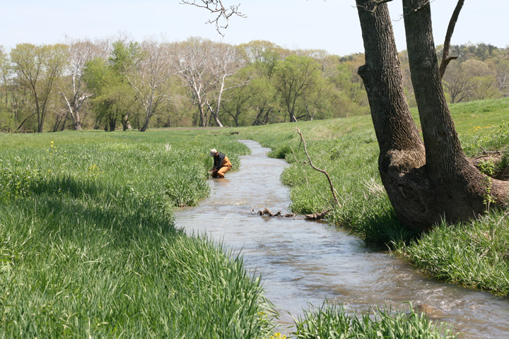 Field photo showing stream conditions at site CONO-302-R-2009-1