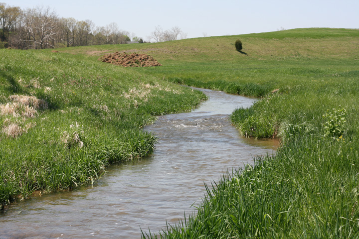Field photo showing stream conditions at site CONO-302-R-2009-2