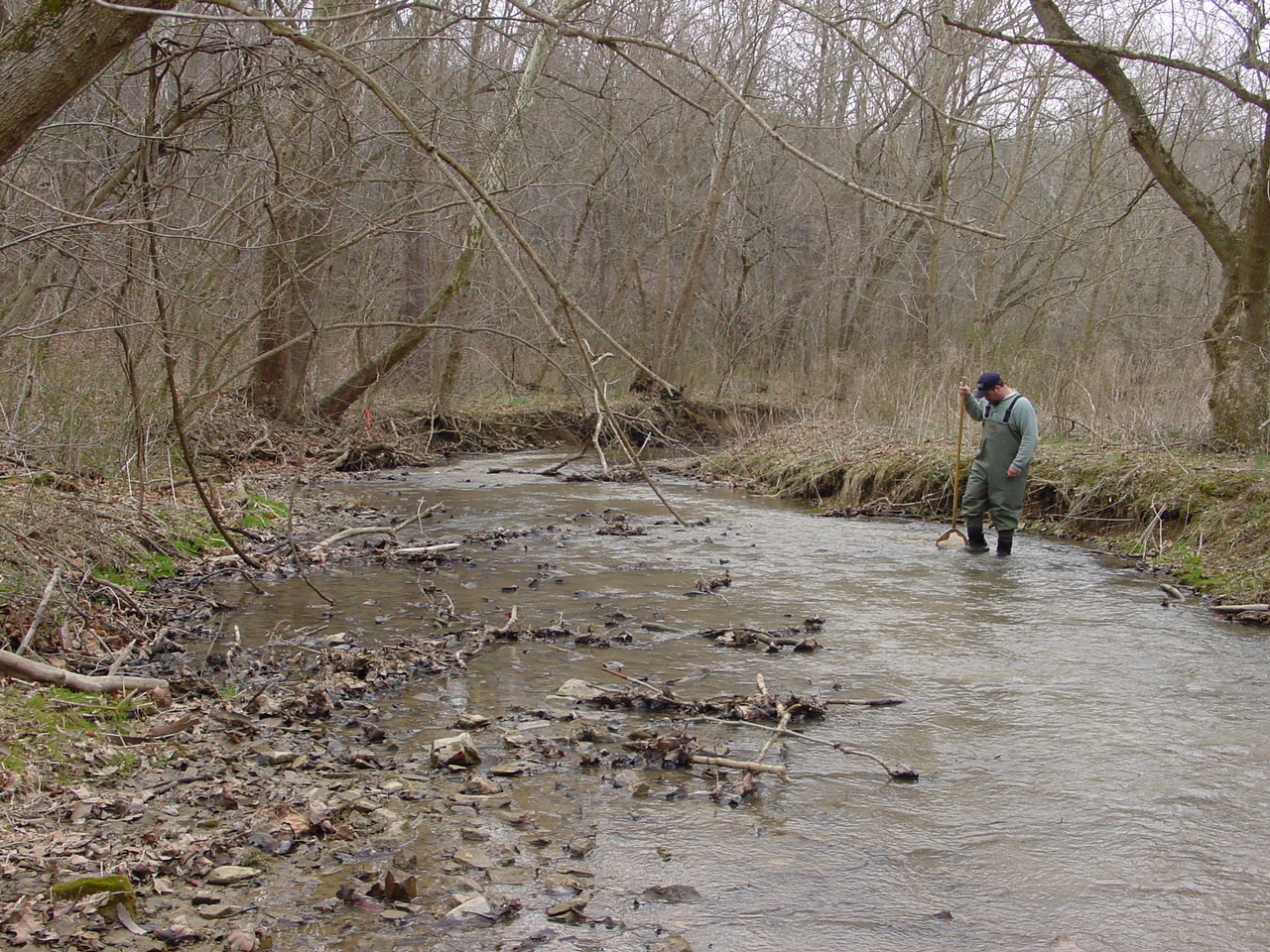 Field photo showing stream conditions at site CONO-312-R-2002-1