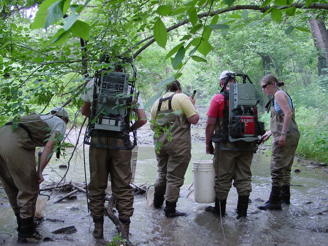 Field photo showing stream conditions at site CONO-312-R-2002-3