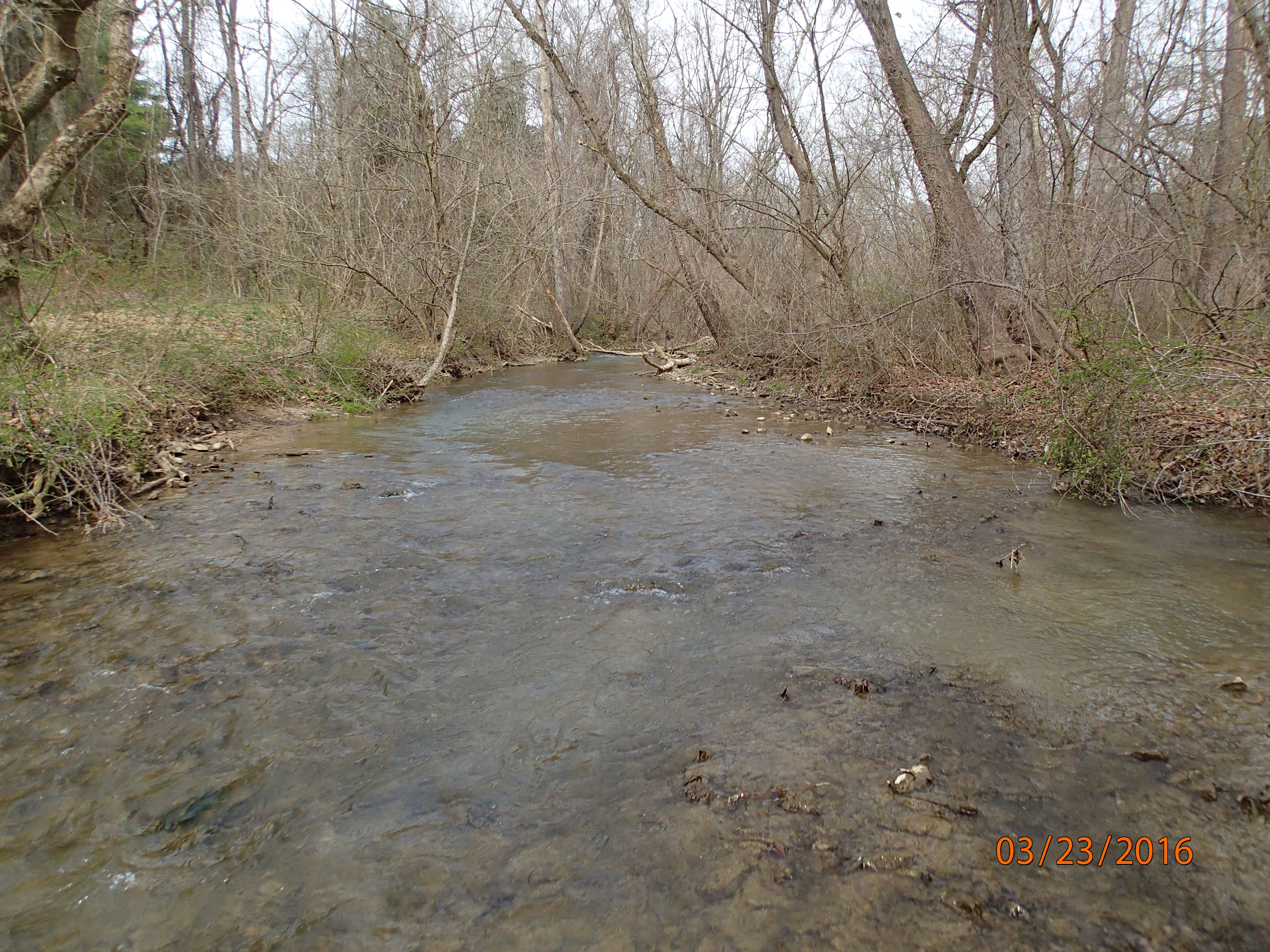Field photo showing stream conditions at site CONO-312-R-2016-MidpointUpstream