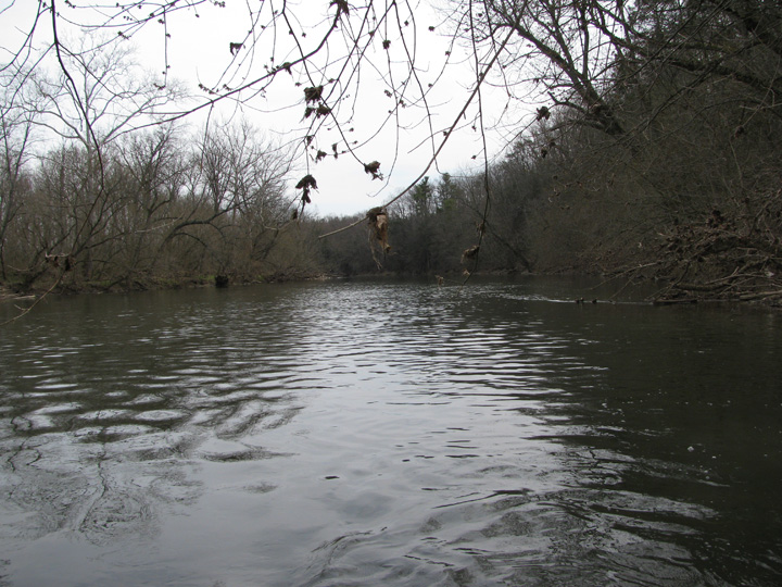 Field photo showing stream conditions at site CONO-505-H-2011-2
