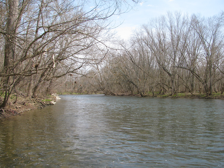 Field photo showing stream conditions at site CONO-509-H-2011-1