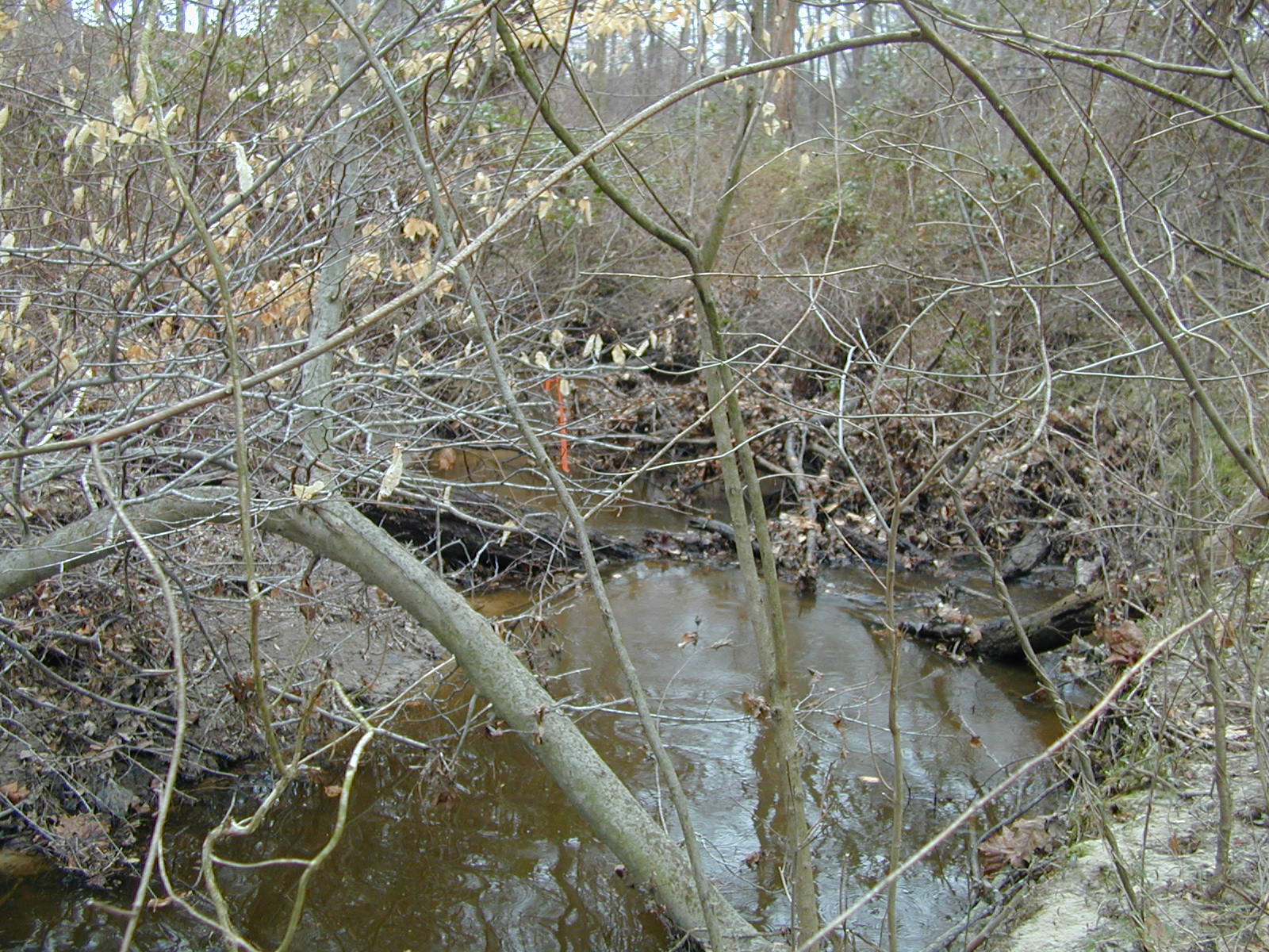 Field photo showing stream conditions at site CORS-102-S-2001-1