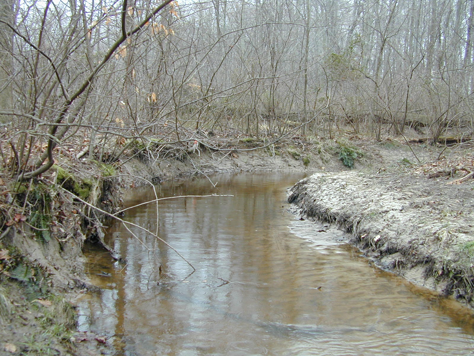 Field photo showing stream conditions at site CORS-102-S-2001-2