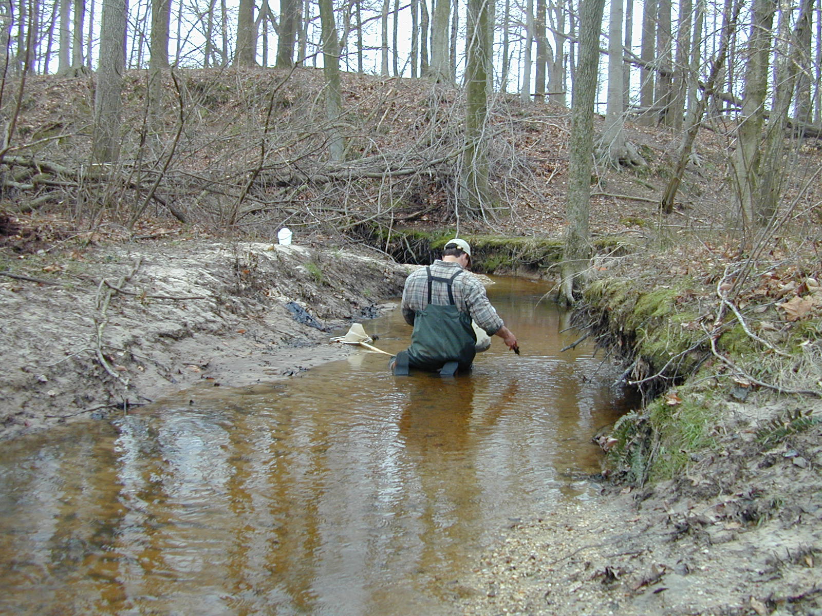 Field photo showing stream conditions at site CORS-102-S-2001-3