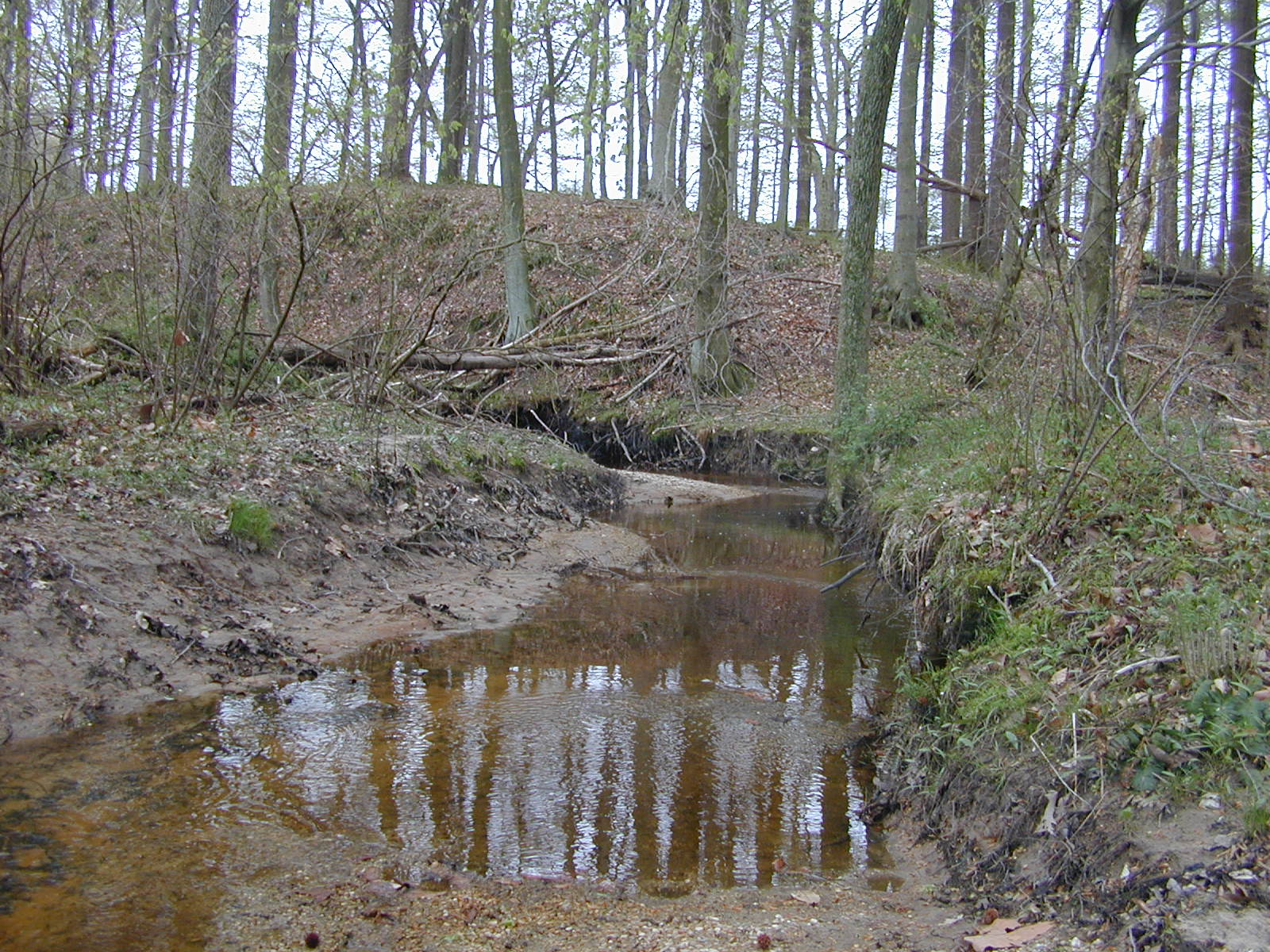 Field photo showing stream conditions at site CORS-102-S-2003-1013