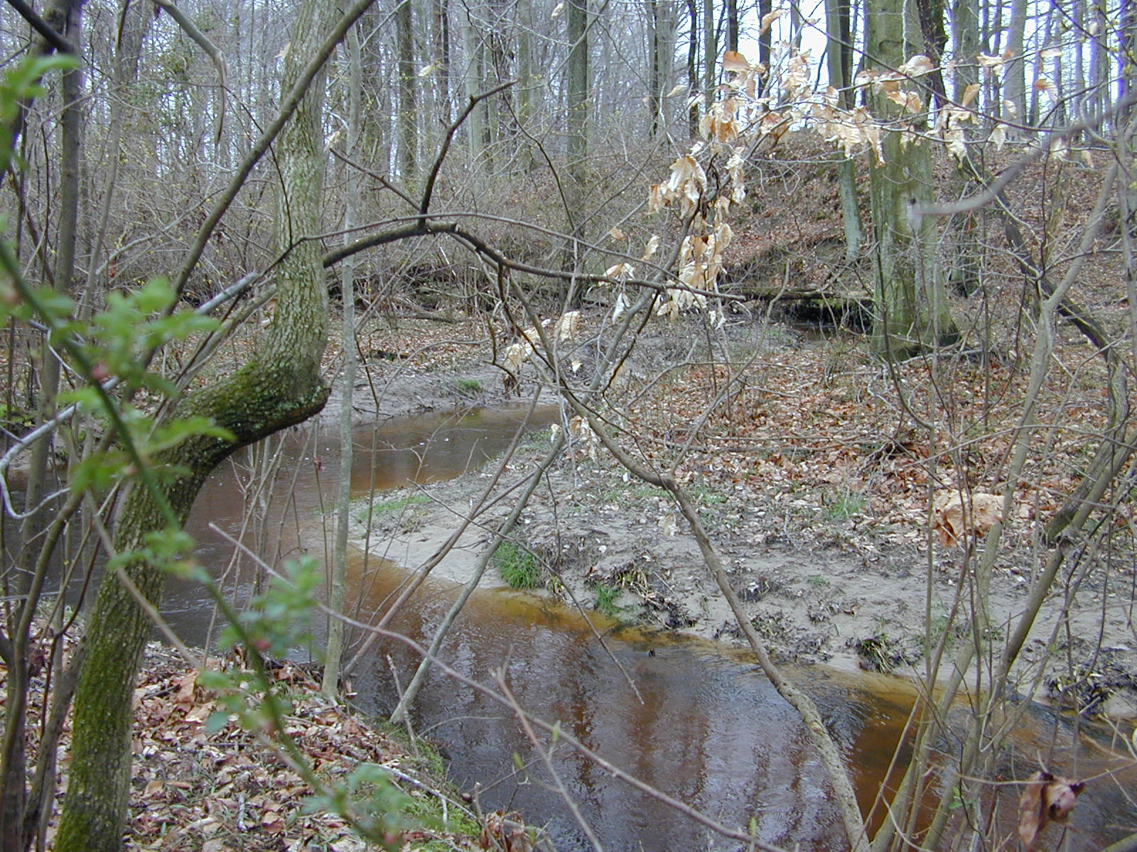 Field photo showing stream conditions at site CORS-102-S-2004-2