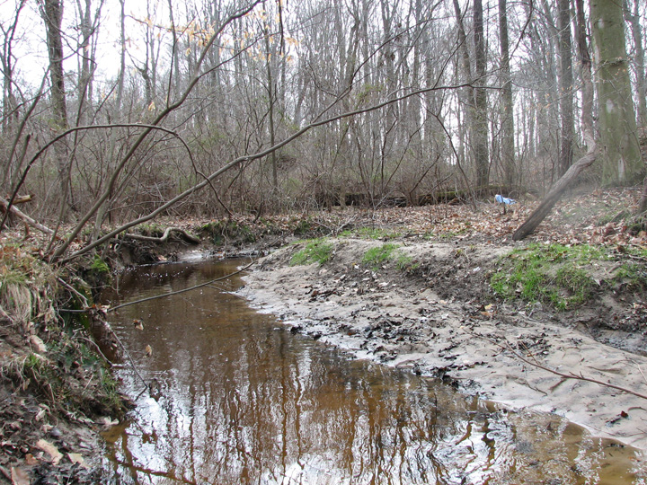 Field photo showing stream conditions at site CORS-102-S-2007-1