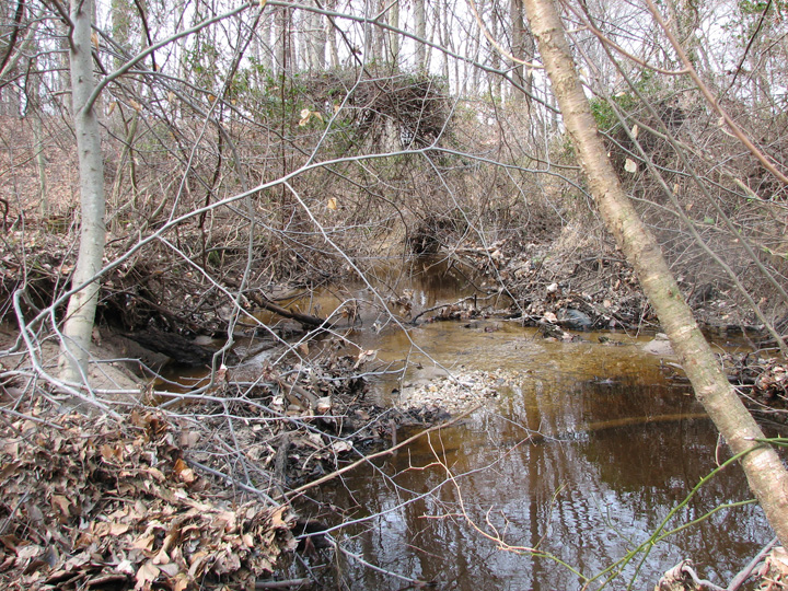 Field photo showing stream conditions at site CORS-102-S-2007-2