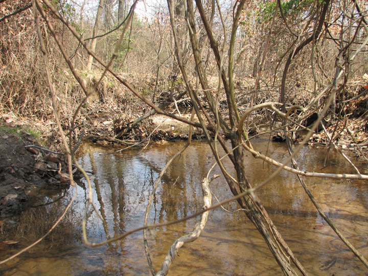 Field photo showing stream conditions at site CORS-102-S-2008-1