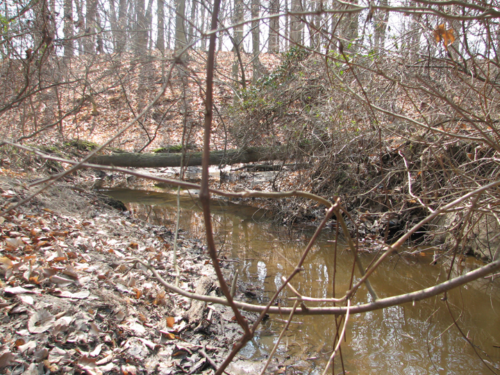 Field photo showing stream conditions at site CORS-102-S-2008-2