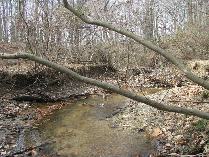 Field photo showing stream conditions at site CORS-102-S-2009-1