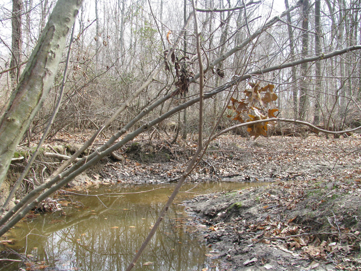 Field photo showing stream conditions at site CORS-102-S-2009-2