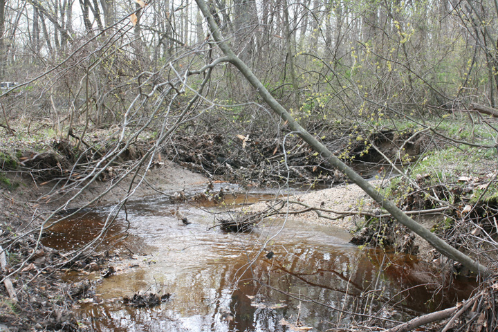 Field photo showing stream conditions at site CORS-102-S-2010-2