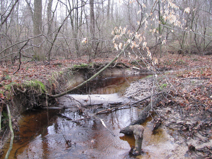 Field photo showing stream conditions at site CORS-102-S-2011-1