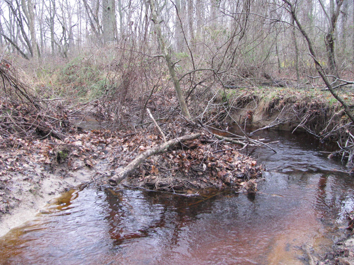 Field photo showing stream conditions at site CORS-102-S-2011-2