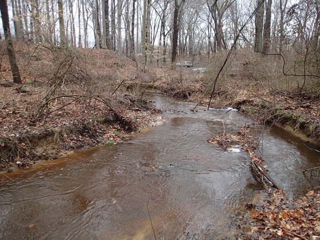 Field photo showing stream conditions at site CORS-102-S-2013-MidpointPdownstream