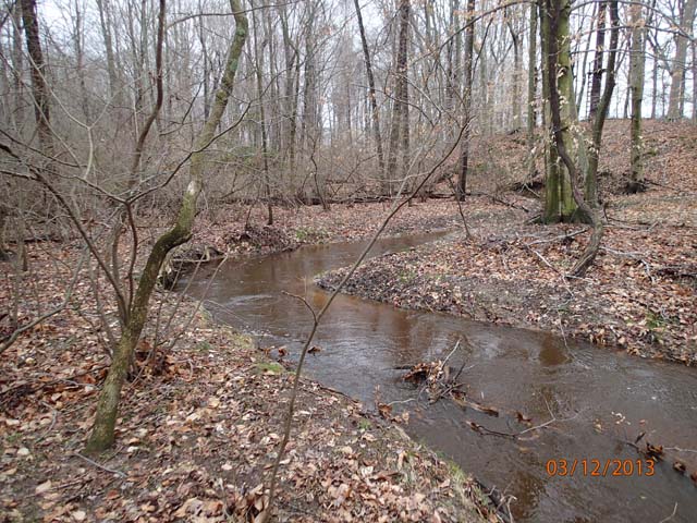 Field photo showing stream conditions at site CORS-102-S-2013-MidpointPupstream