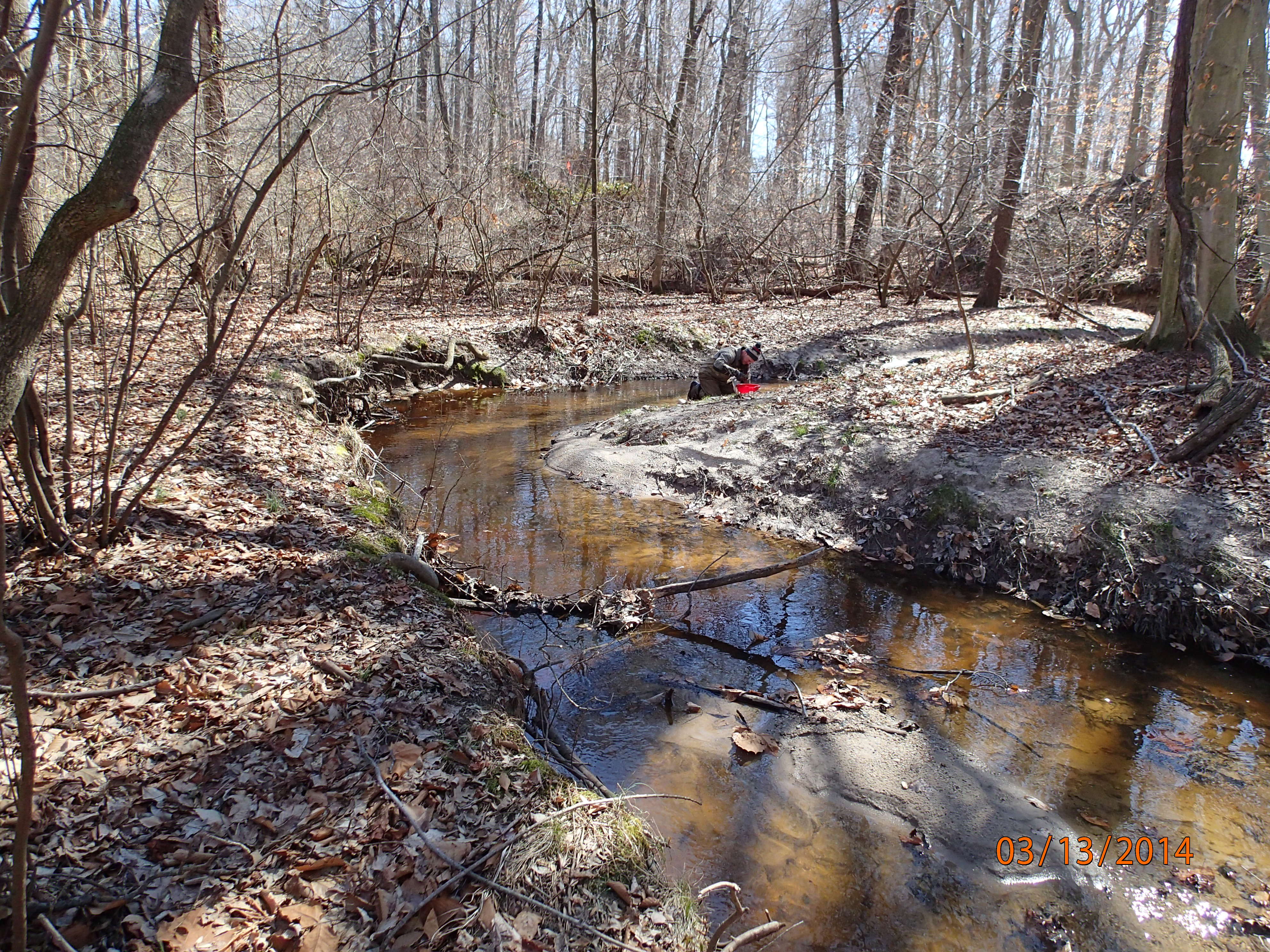 Field photo showing stream conditions at site CORS-102-S-2014-MidpointUpstream
