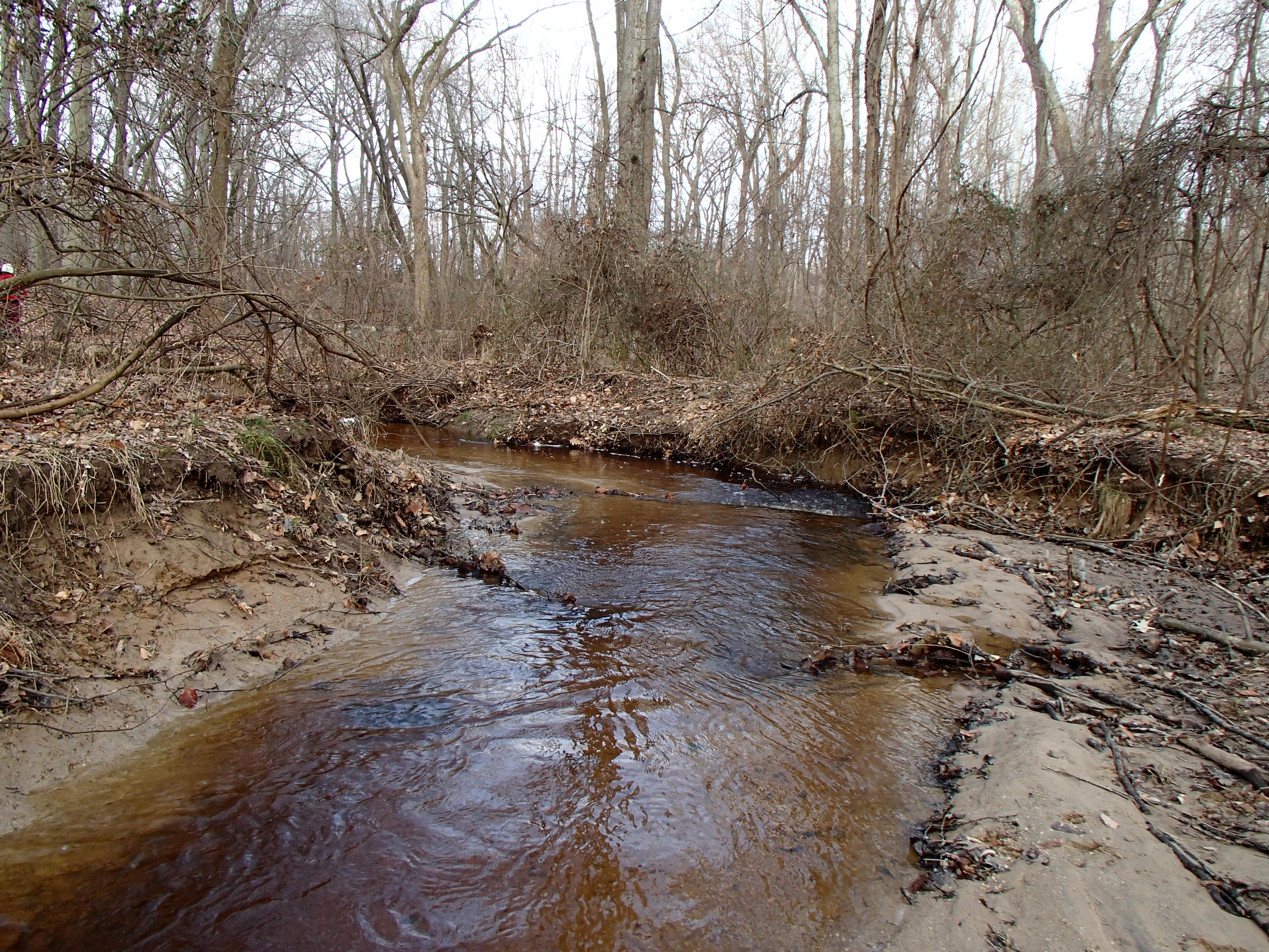Field photo showing stream conditions at site CORS-102-S-2015_Midpoint-downstream