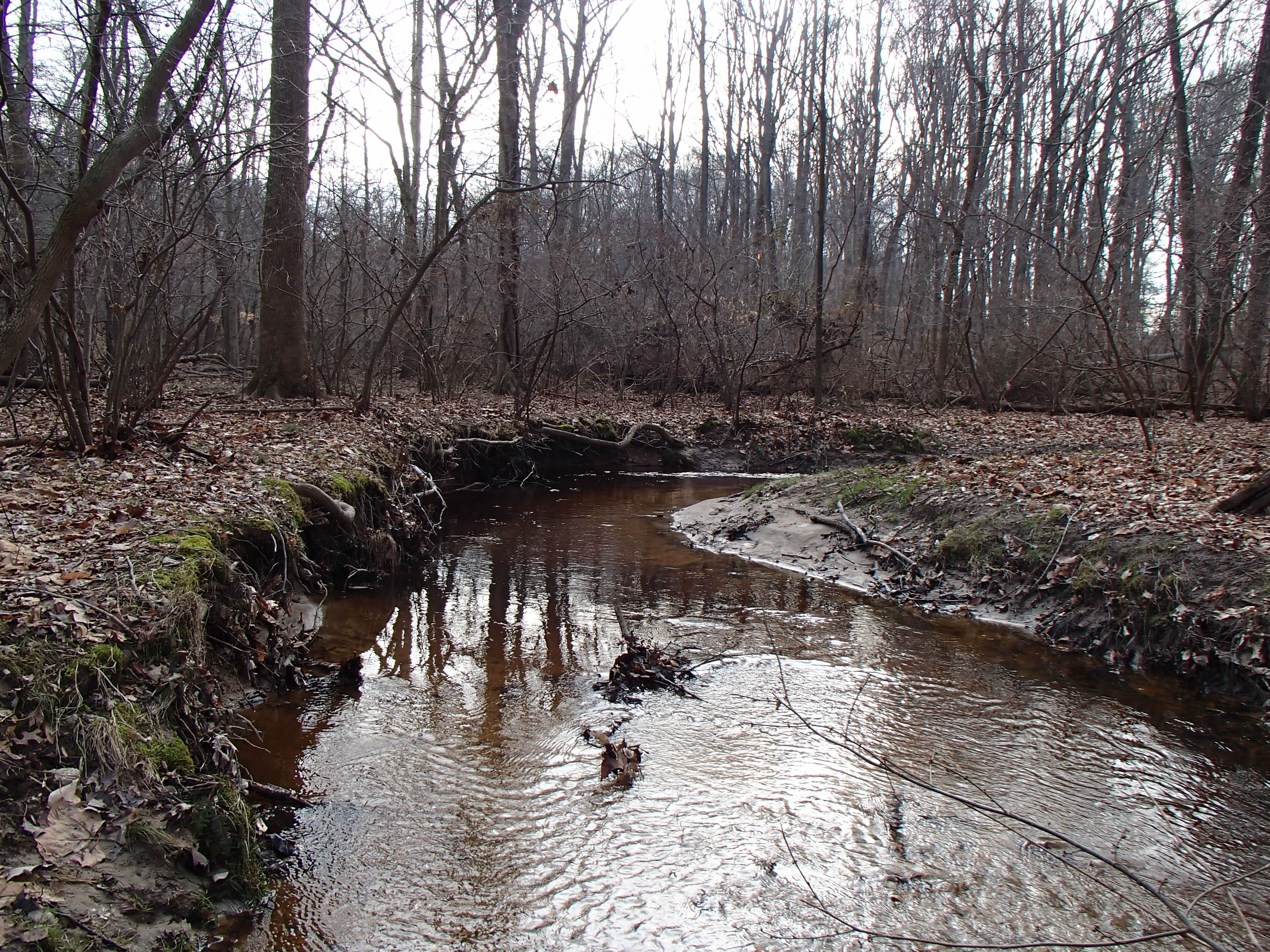 Field photo showing stream conditions at site CORS-102-S-2015_Midpoint-upstream