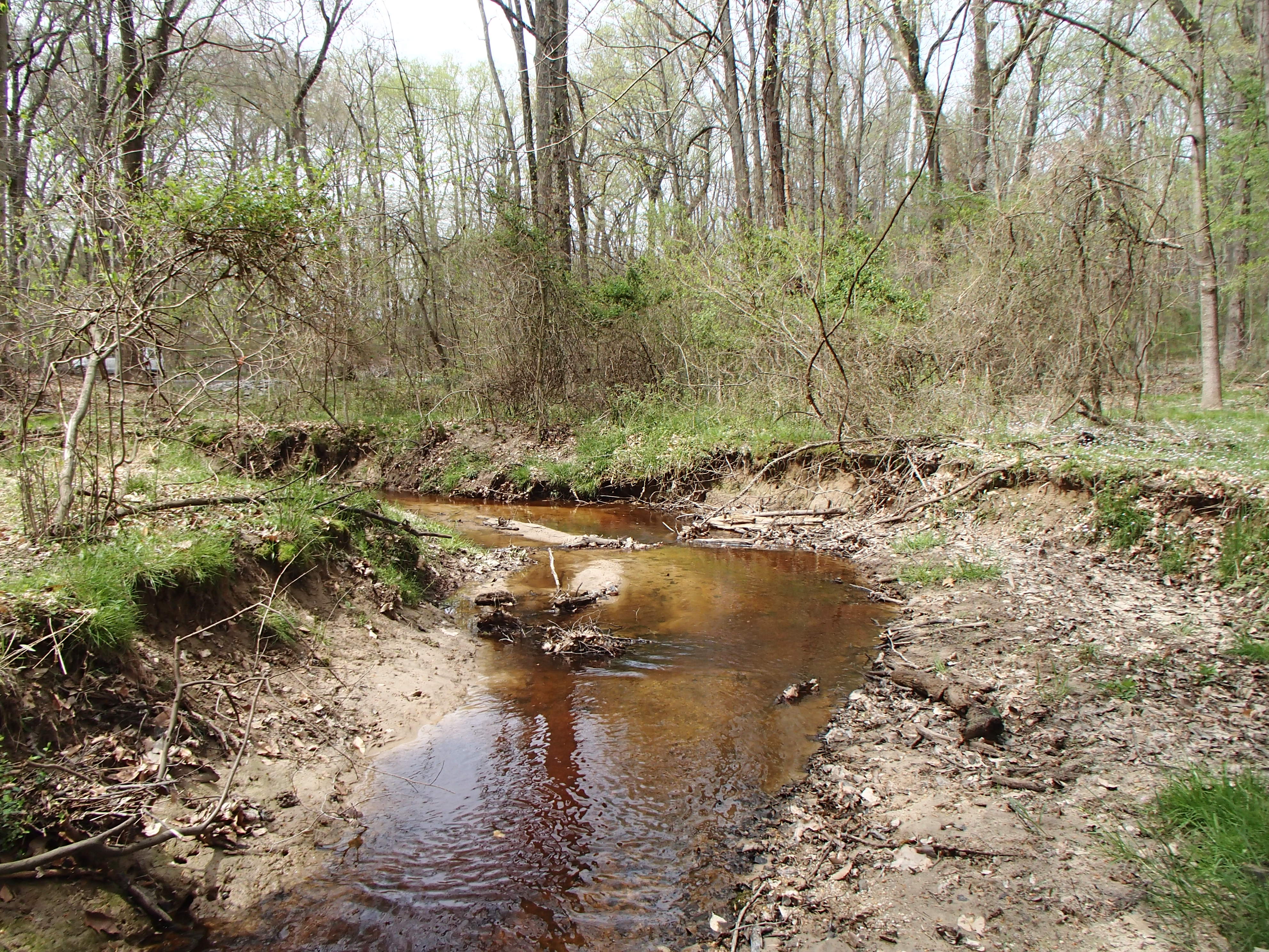 Field photo showing stream conditions at site CORS-102-S-2017-MidpointFacingDownstream