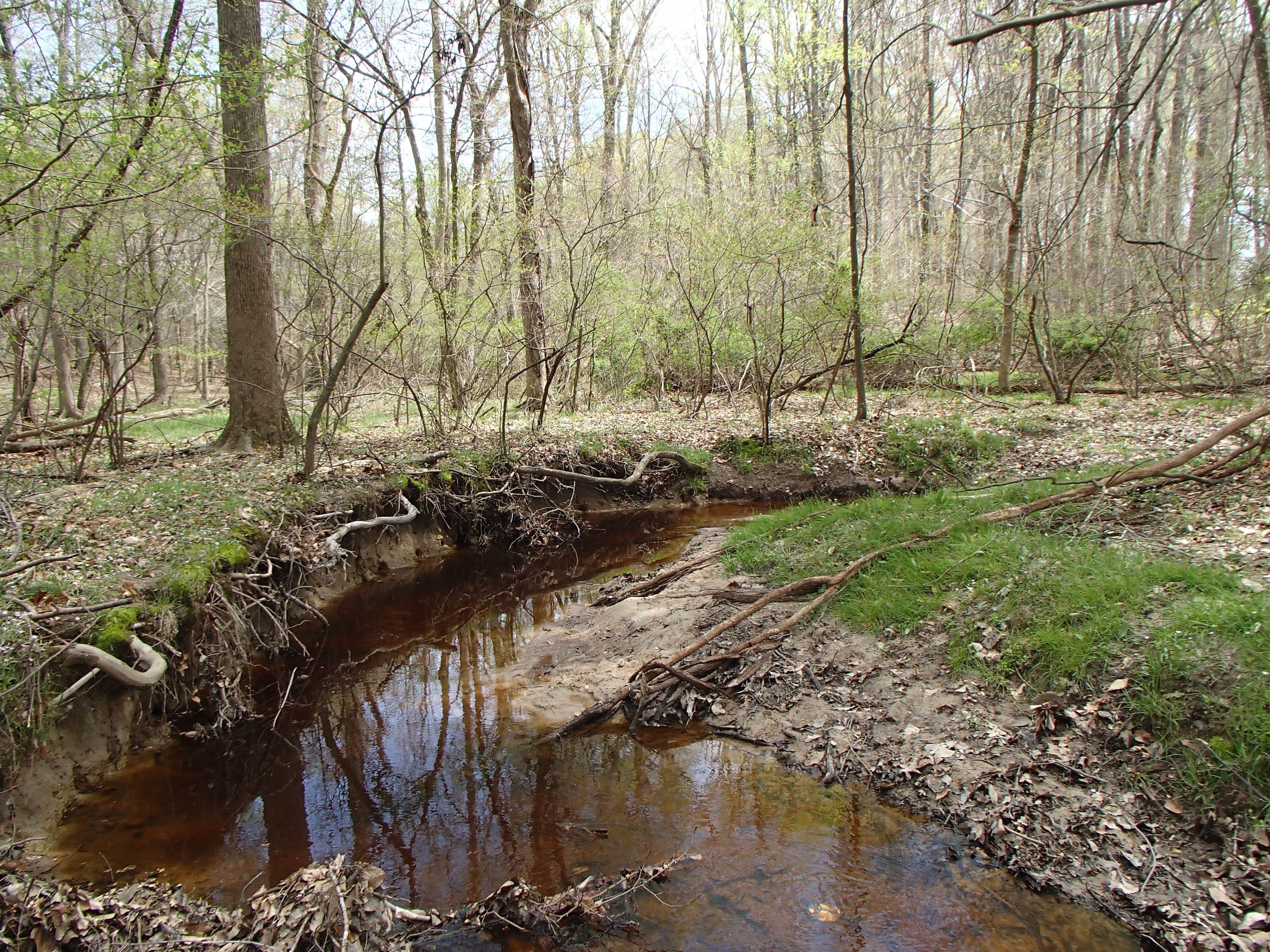 Field photo showing stream conditions at site CORS-102-S-2017-MidpointFacingUpstream