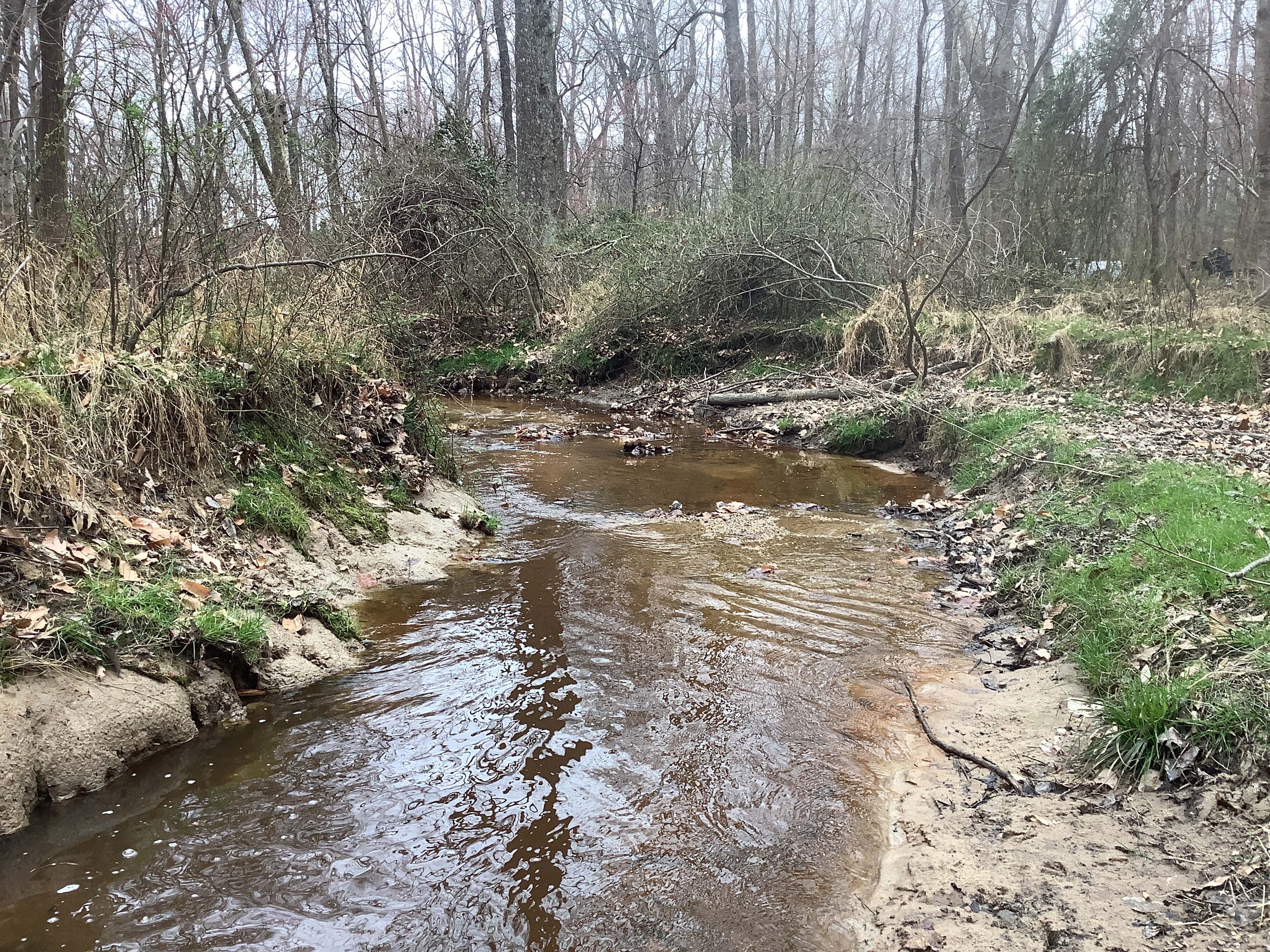 Field photo showing stream conditions at site CORS-102-S-2023-MidpointLookingDownstream