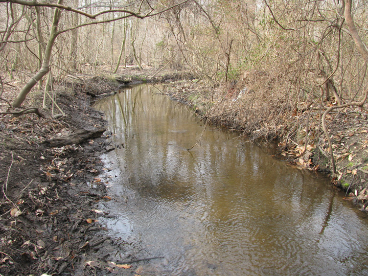 Field photo showing stream conditions at site CORS-102-X-2009-1