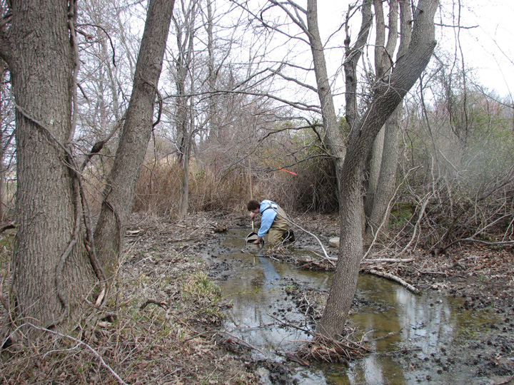 Field photo showing stream conditions at site CORS-103-R-2007-2