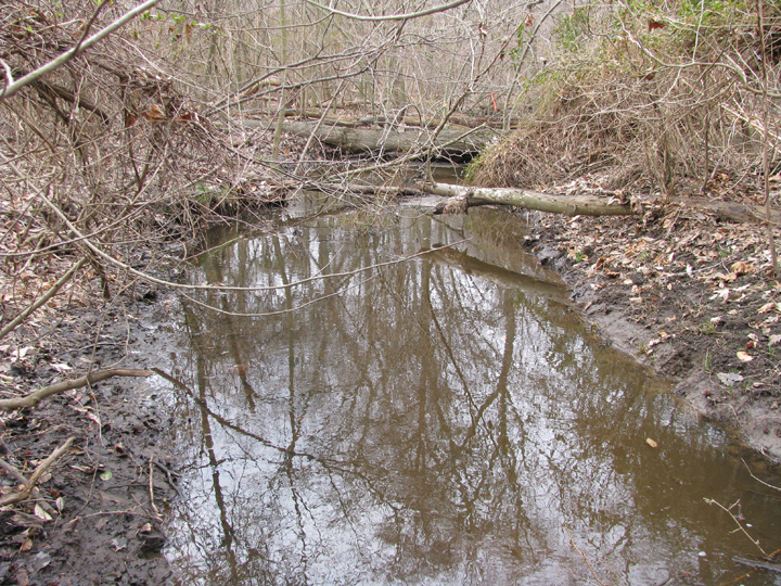Field photo showing stream conditions at site CORS-103-X-2009-1