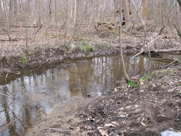 Field photo showing stream conditions at site CORS-103-X-2009-2