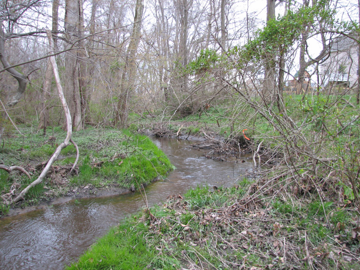 Field photo showing stream conditions at site CORS-104-H-2007-1