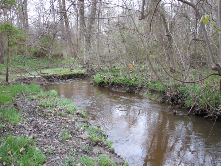 Field photo showing stream conditions at site CORS-104-H-2007-2
