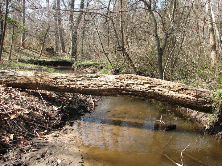 Field photo showing stream conditions at site CORS-104-X-2008-2