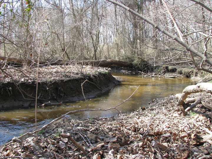 Field photo showing stream conditions at site CORS-104-X-2009-1