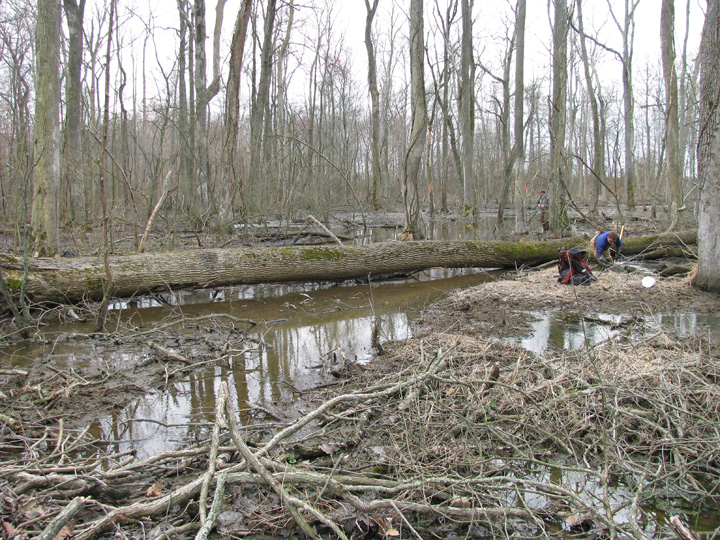 Field photo showing stream conditions at site CORS-105-X-2009-1