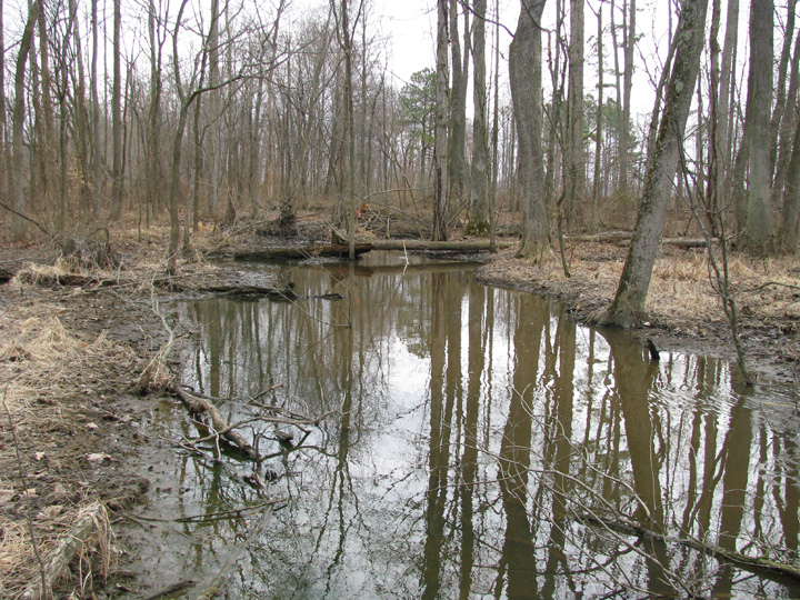 Field photo showing stream conditions at site CORS-105-X-2009-2