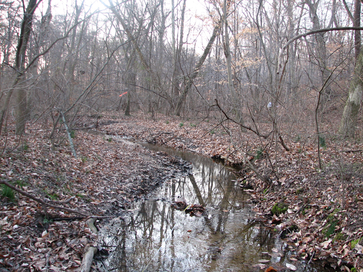 Field photo showing stream conditions at site CORS-106-B-2008-1