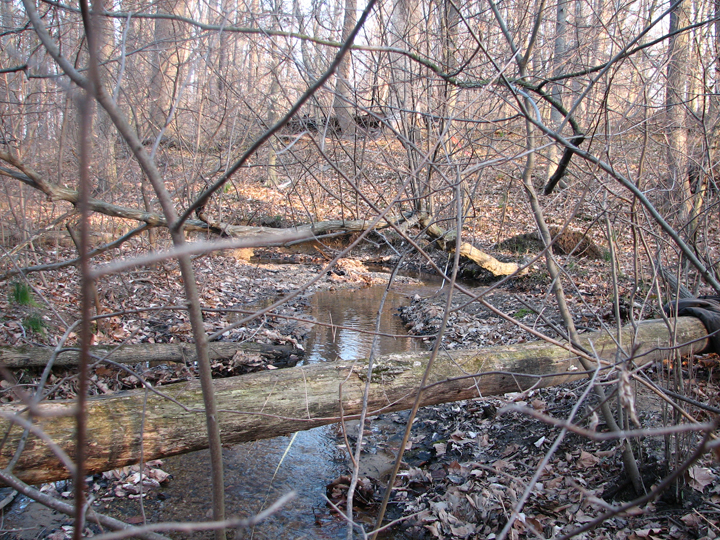 Field photo showing stream conditions at site CORS-106-B-2008-2
