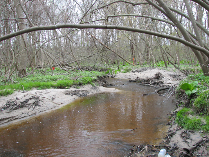 Field photo showing stream conditions at site CORS-106-H-2007-1