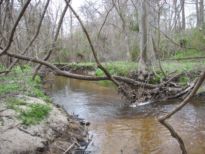 Field photo showing stream conditions at site CORS-106-H-2007-2