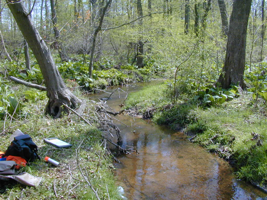 Field photo showing stream conditions at site CORS-106-R-2000-02